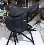 زين پونی مینیاتوری   Hi-rider - Image 5